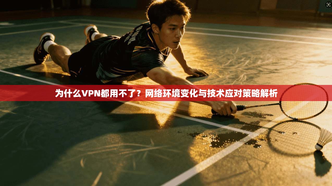 为什么VPN都用不了?网络环境变化与技术应对策略解析 为什么VPN都用不了?网络环境变化与技术应对策略解析